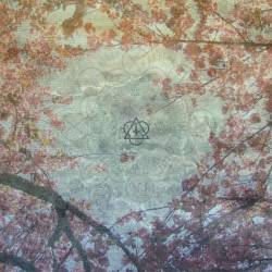 Trophy Scars : Never Born, Never Dead